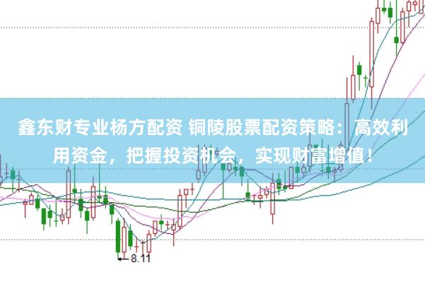 鑫东财专业杨方配资 铜陵股票配资策略：高效利用资金，把握投资机会，实现财富增值！