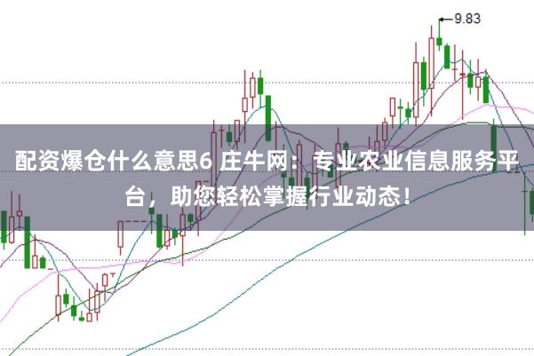 配资爆仓什么意思6 庄牛网:专业农业信息服务平台,助您轻松掌握行业动态!