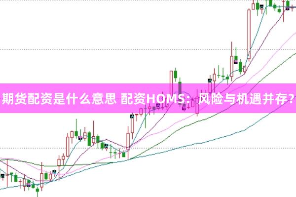 期货配资是什么意思 配资HOMS：风险与机遇并存？