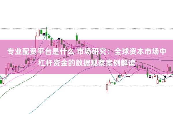 专业配资平台是什么 市场研究：全球资本市场中杠杆资金的数据观察案例解读