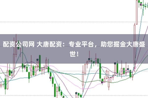 配资公司网 大唐配资：专业平台，助您掘金大唐盛世！
