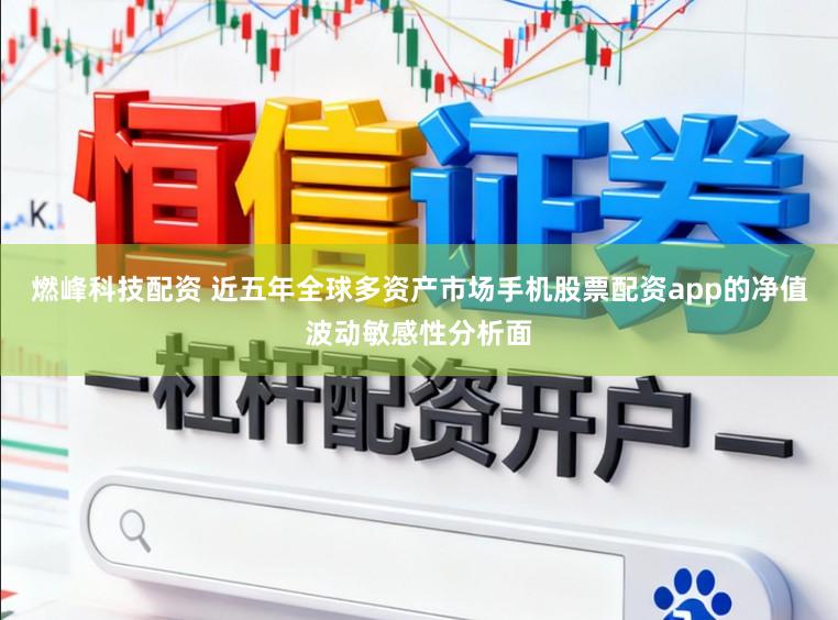 燃峰科技配资 近五年全球多资产市场手机股票配资app的净值波动敏感性分析面